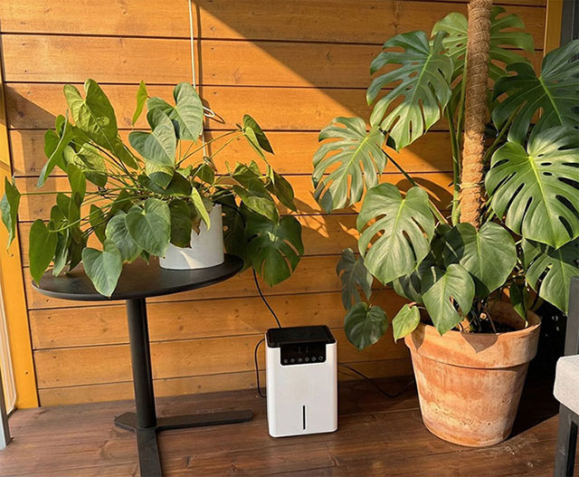 airdew on a balcony