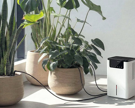 airdew in a living space