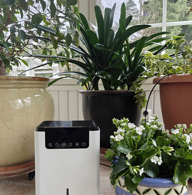 airdew in a home setting
