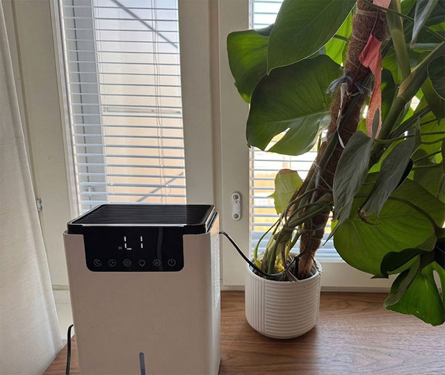 airdew in a cosy interior
