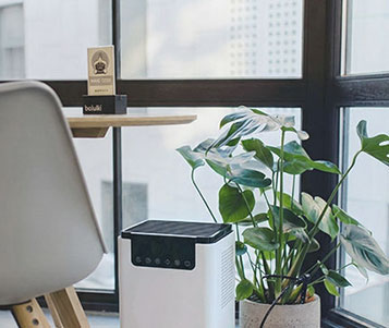 airdew in an office